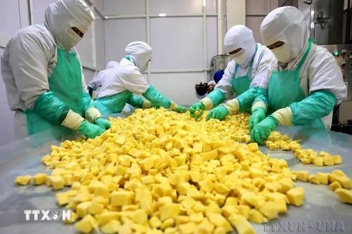 Xuất khẩu nông sản của Việt Nam đạt 25,66 tỷ USD trong 8 tháng qua