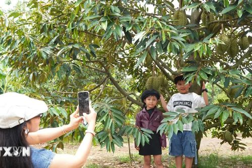 Đồng Nai phát huy tiềm năng để du lịch bứt phá thành ngành kinh tế mạnh