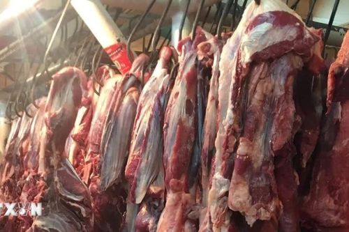 Xuất khẩu thịt của Brazil có thể gặp khó do lệnh cấm của EU