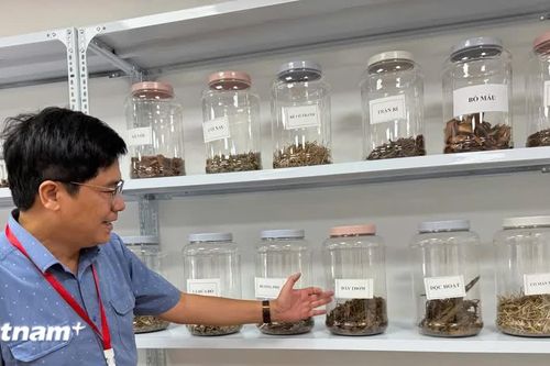 Khoa học công nghệ: Chìa khóa nâng tầm giá trị dược liệu của Việt Nam