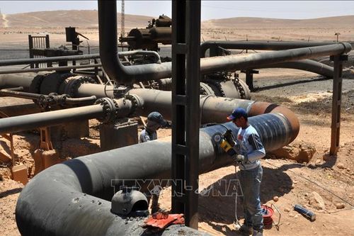Ít nhất 37 người tử vong khi trộm dầu ở Nigeria