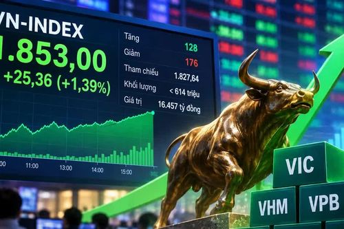 VN Index vượt 1.850 điểm, dòng tiền vẫn thận trọng
