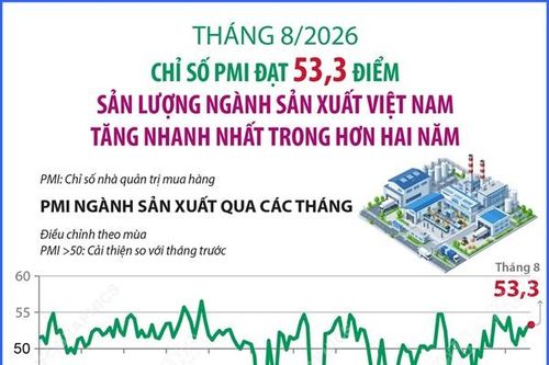 Tháng 8/2026: Chỉ số PMI đạt 53,3 điểm, sản lượng ngành sản xuất Việt Nam tăng nhanh nhất trong hơn hai năm