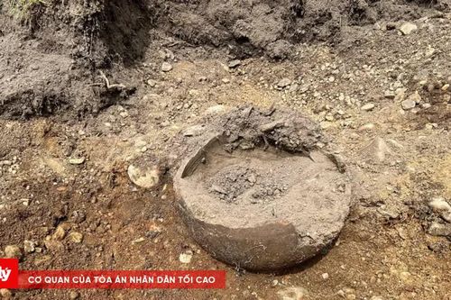 Chủ nhà tình cờ phát hiện kho báu bạc thời Viking lớn nhất Đan Mạch khi đào vườn