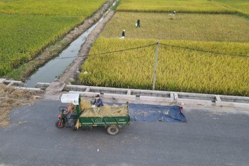 Việt Nam nhận gần 43 triệu USD phát triển hệ thống thủy lợi hiện đại