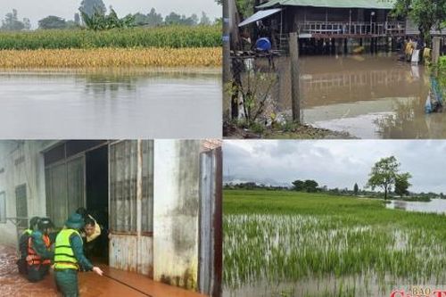 Gia Lai: Mưa lớn kéo dài, ruộng đồng, nhà dân chìm trong biển nước