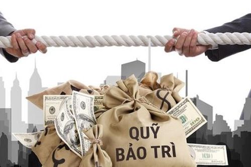 Chủ đầu tư có thể bị phạt 300 triệu đồng nếu quản lý nhà chung cư sai quy định