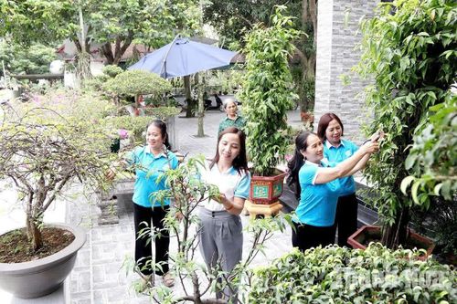 Thêm những ngôi nhà đẹp, khu vườn xanh