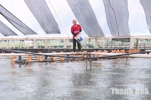 Sản xuất nông nghiệp phi thời vụ gắn với nhu cầu thị trường