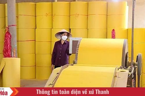 Cây keo, luồng sau cánh cửa nhà máy