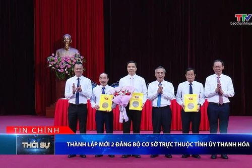 Bản tin Thời sự tối 4/9/2026: Thành lập mới 2 Đảng bộ cơ sở trực thuộc Tỉnh ủy Thanh Hóa