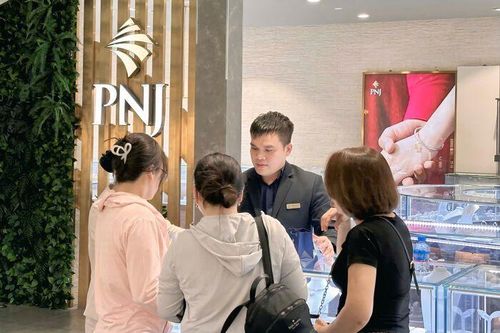 Gia đình Chủ tịch PNJ tính bán 25 triệu cổ phiếu lấy tiền cho doanh nghiệp vay