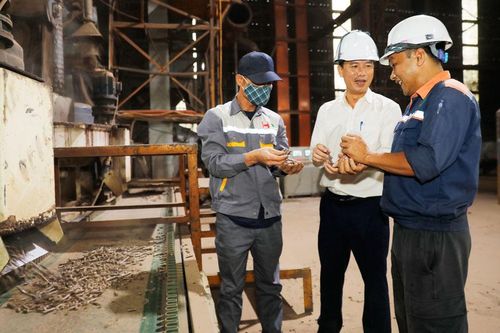 Bắc Ninh: Đa dạng sản phẩm chế biến gỗ, gia tăng giá trị rừng trồng
