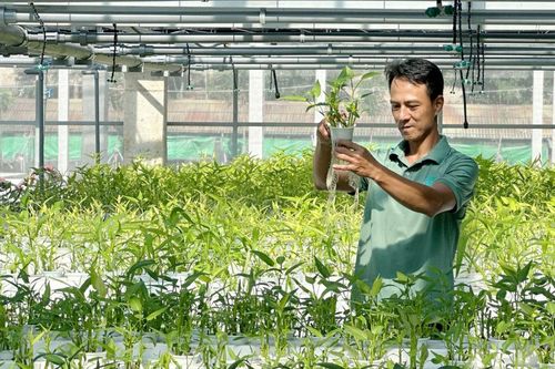 Xây nền cho chuỗi nông nghiệp bền vững
