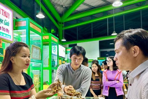 Để miền núi 'trở mình'