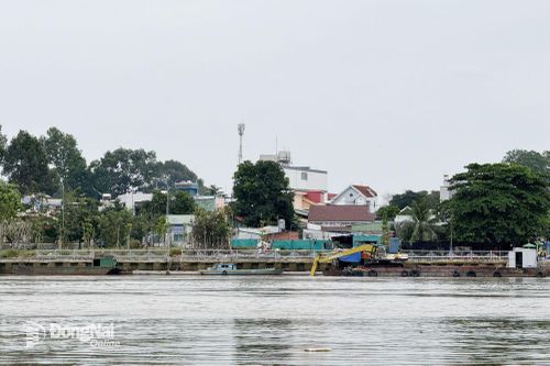 Khả năng lũ trên sông Đồng Nai lên mức báo động 2