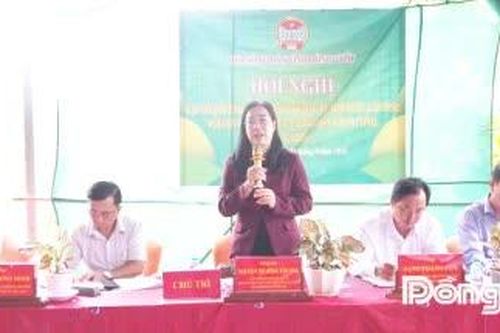 Ban Thường vụ Hội Nông dân tỉnh Đồng Tháp: Gặp gỡ lắng nghe ý kiến của các cấp hội nông dân