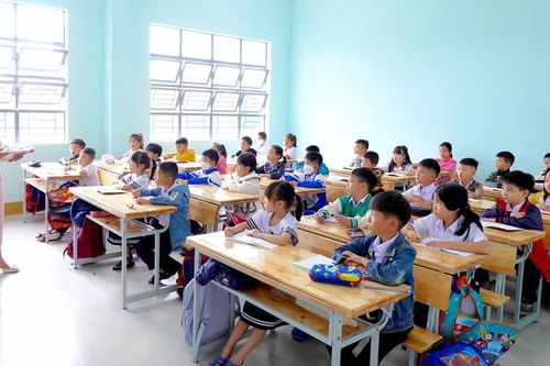 Gia Lai thuộc nhóm 12 địa phương có tỷ lệ bao phủ BHYT học sinh, sinh viên cao nhất cả nước