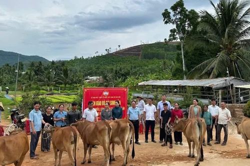 Xã Kim Sơn bàn giao 6 con bò sinh sản cho hộ nghèo