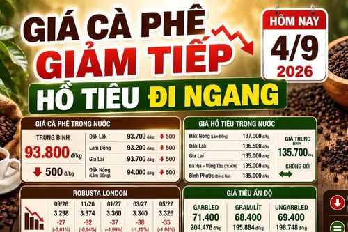Giá cà phê, hồ tiêu hôm nay 4/9: Cà phê giảm, giá tiêu đi ngang