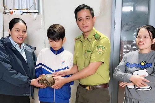 Học sinh ở xã Ia Hrú tự nguyện giao nộp rùa núi vàng