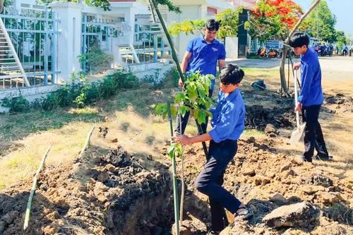 Đoàn xã Vạn Thắng tổng kết Chiến dịch Thanh niên tình nguyện hè năm 2026