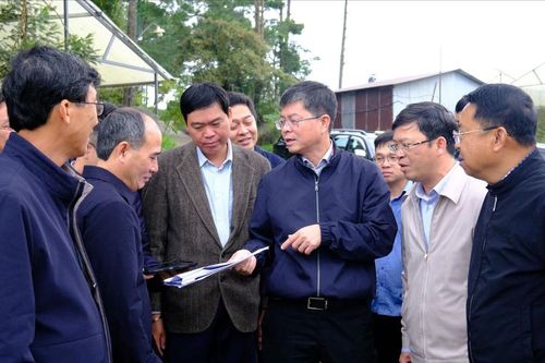 Lâm Đồng rà soát các vị trí động lực trong quy hoạch 5 phường liền kề