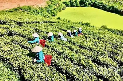 Đường lớn cho kinh tế tư nhân - Kỳ 2: Khơi dòng nguồn lực