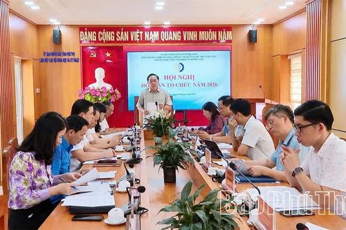 Chuẩn bị tổng kết Cuộc thi sáng tạo thanh thiếu niên nhi đồng và Hội thi sáng tạo kỹ thuật tỉnh năm 2026