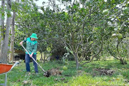 Vĩnh Thủy hướng đến vùng sản xuất nông nghiệp xanh