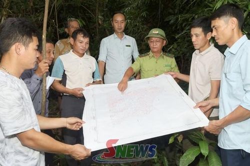 Tạo động lực giữ rừng bền vững