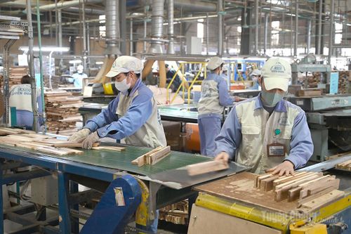 Kinh tế tư nhân bứt phá mạnh mẽ