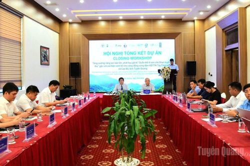 Tổng kết dự án bảo tồn quần thể di sản chè Shan tuyết cổ thụ Tây Côn Lĩnh
