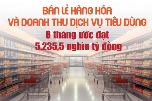 Infographics: Bán lẻ hàng hóa và doanh thu dịch vụ tiêu dùng 8 tháng tăng 13,3%