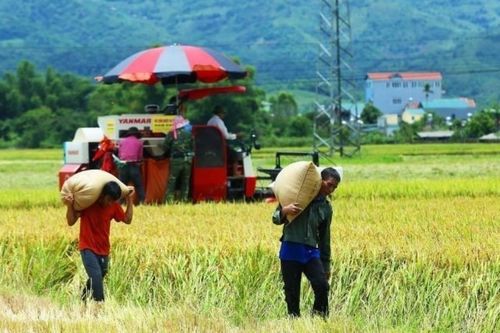 Đề xuất cơ chế mới để vận hành Chương trình mục tiêu quốc gia sau hợp nhất