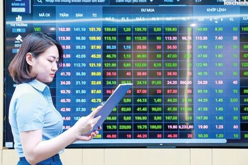 Cắt giảm thủ tục nhưng không hạ thấp yêu cầu quản lý