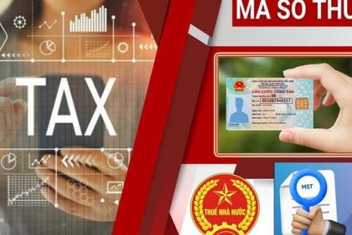 Gần 95.000 doanh nghiệp, tổ chức hoàn tất chấm dứt hiệu lực mã số thuế