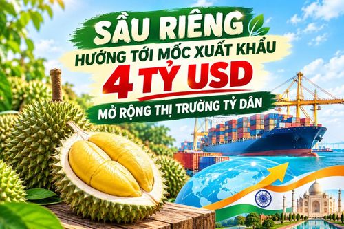 Sầu riêng hướng tới mốc xuất khẩu 4 tỷ USD, mở rộng thị trường tỷ dân