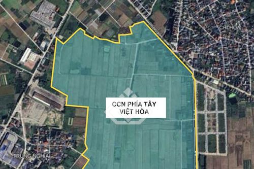 Hải Phòng: Công ty TNHH Tân Hưng thuê hơn 226.000m2 đất để thực hiện dự án