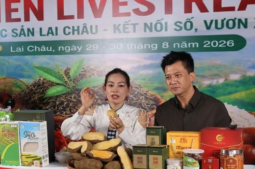 Lai Châu bảo vệ thương hiệu OCOP từ nhận diện hàng thật - hàng giả