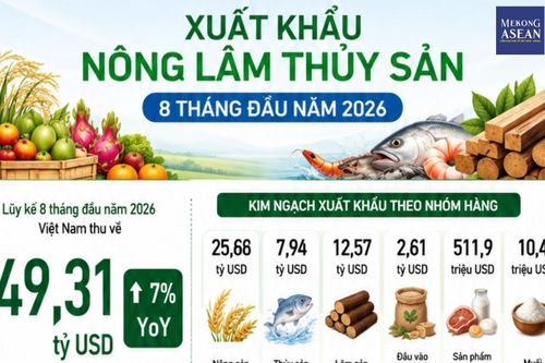 Xuất siêu nông lâm thủy sản 8 tháng đầu năm 2026 đạt 14,2 tỷ USD