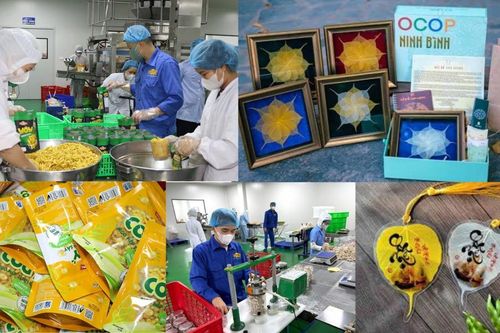 Nông sản chuẩn OCOP giúp doanh nghiệp tỉnh Ninh Bình thu tiền tỷ