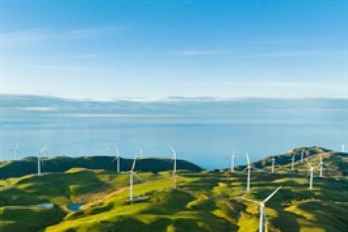 Verdant Vietnam Crystal báo lãi bán niên, huy động hơn 220 tỷ đồng trái phiếu mở rộng công suất
