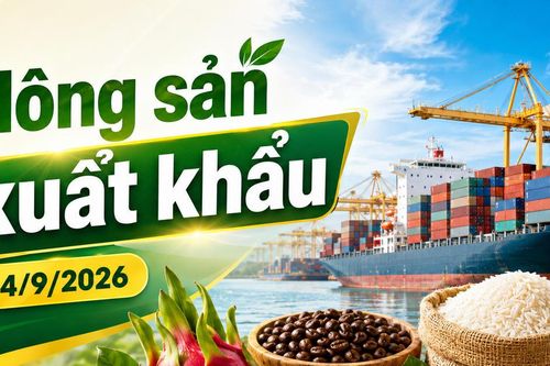 Nông sản xuất khẩu 4/9: Rau quả vượt cà phê, cán mốc 6,02 tỷ USD