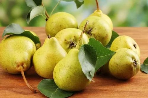 Ăn lê mỗi ngày, cơ thể sẽ nhận được lợi ích tuyệt vời này