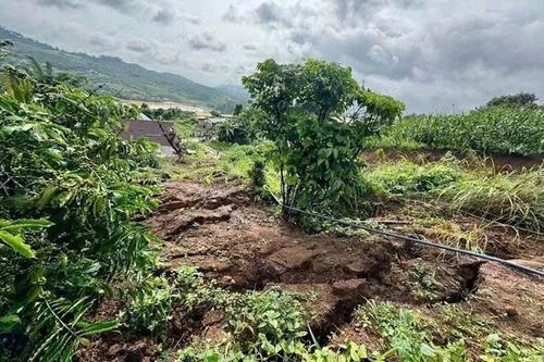 Lâm Đồng: Xuất hiện nhiều điểm lún, nứt và sạt trượt đất tại xã Quảng Sơn