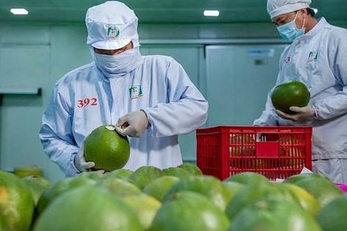 Bức tranh nhiều điểm sáng của xuất khẩu nông sản