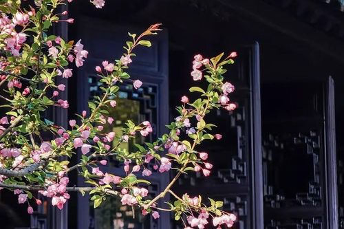 Giờ sinh Âm lịch của người có vận khí tốt, đường công danh rộng mở