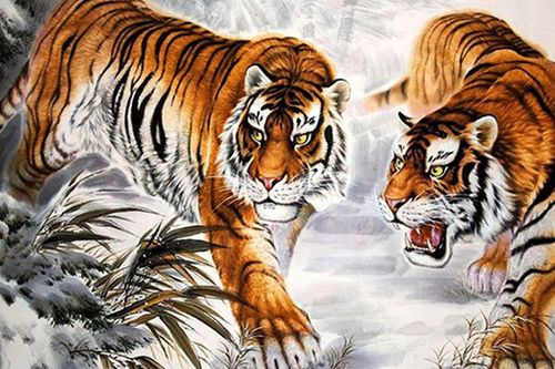 4 con giáp nam là bến đỗ an toàn nhất cho phụ nữ sống thực tế