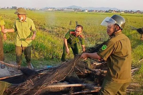 Phát hiện 'trận địa' bẫy chim giữa cánh đồng, thu 5.000m lưới
